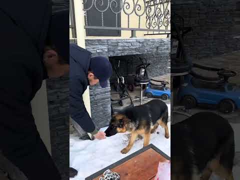 Видео: В Бишкеке.Кыргызстан.