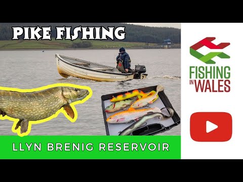 Видео: ЛОВЛЯ ЩУКИ на Ллин-Брениг — ЛОВЛЯ НА ПРИМАНКУ на форелевом водохранилище в Северном Уэльсе, Велик...