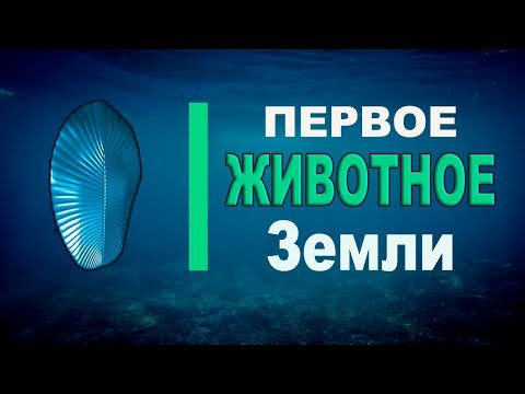 Видео: Первое животное Земли