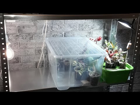 Видео: КОМНАТНЫЕ РАСТЕНИЯ(ЦВЕТЫ).ПОКУПКИ ДЛЯ РАСТЕНИЙ И НОВЫЙ СТЕЛЛАЖ.