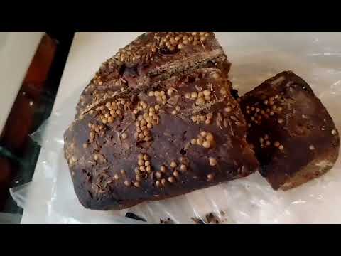 Видео: О прошлом