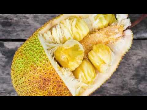 Видео: Прогулка по тайской деревне: как выглядит кокосовая плантация и многое другое