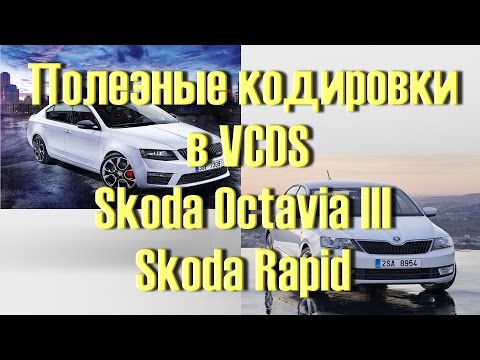 Видео: Лучший Сборник кодировок для Skoda Octavia III, Rapid в VCDS Вася Диагност