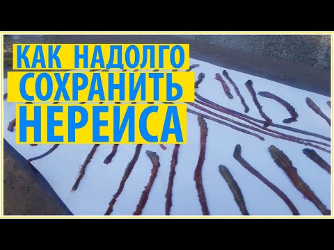 Видео: КАК СОХРАНИТЬ НЕРЕИСА? КАК ВЯЛИТЬ ЧЕРВЯ?