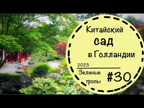 Видео: #30☘️Цветники☘️Каменистый сад☘️Китайский сад в Нидерландах ☘️Groningen Ботанический сад