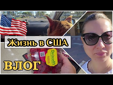 Видео: Жизнь в США/Флорида/Покупаю малину