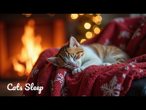 Видео: Успокаивающая Музыка для Сна Кошек | Расслабляющие Кошачьи Мелодии для Снятия Тревоги и Отдыха