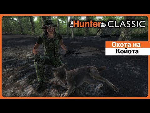 Видео: Охота на Койота в theHunter Classic !