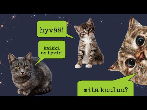 Видео: Как дела?