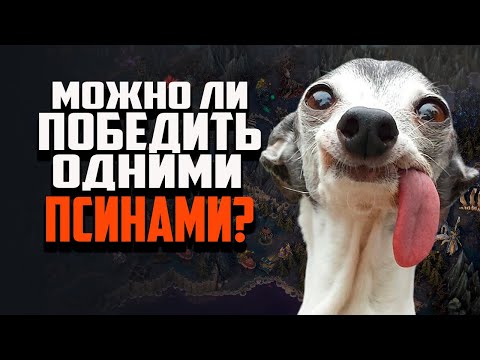Видео: МОЖНО ЛИ ПОБЕДИТЬ ИГРАЯ ОДНИМИ ПИТОМЦАМИ? ГЕРОИ МЕЧА И МАГИИ OLDEN ERA