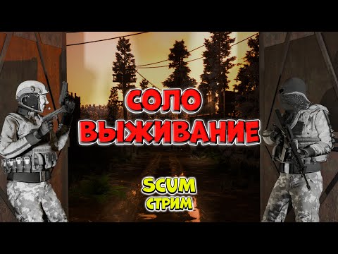 Видео: Поиски самолета для ... - SCUM стрим | boosty