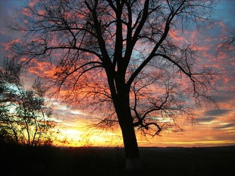 Видео: Паринама о ТОНАХ:  Левое и Правое .