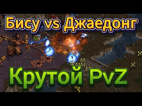 Видео: Старкрафт PvZ - Протосс Бису и зерг Джаедонг - В жизни друзья, на поле битвы непримиримые соперники