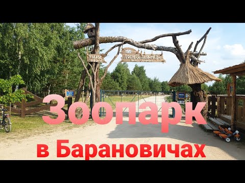 Видео: Зоопарк Барановичи Диприз. Обзор зоопарка. #беларусь #зоопарк #баранивичи #подпишись #диприз