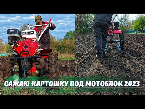 Видео: Посадка КАРТОФЕЛЯ под МОТОБЛОК 2023 ! Огород в Деревне !