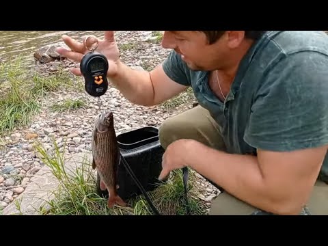 Видео: Ловля Хариуса на Балду ( верховой настрой )