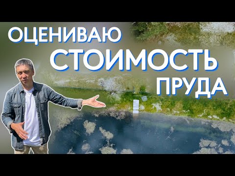 Видео: Оцениваю стоимость пруда. Сколько может стоить пруд?