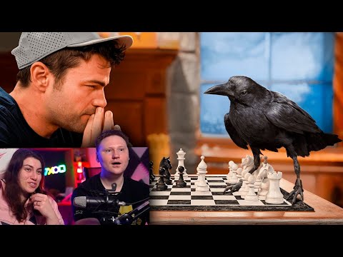 Видео: Может ли ворон решить 9 невозможных головоломок? | РЕАКЦИЯ на Mark Rober