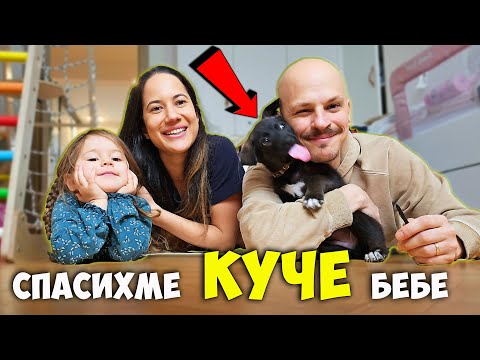 Видео: ИМАМЕ си КУЧЕ