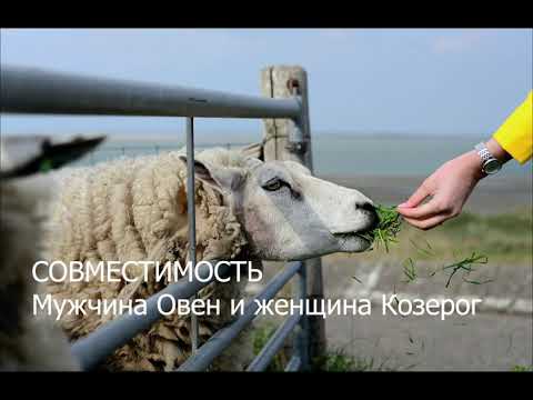 Видео: Совместимость мужчины Овна и женщины Козерога