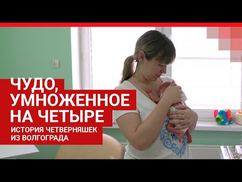 Видео: Четверняшкам из Волгограда исполнился месяц: рассказываем как они сейчас | V1.RU