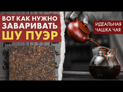 Видео: Как заваривать Шу Пуэр, точный рецепт | Идеальная Чашка Чая от Art of Tea