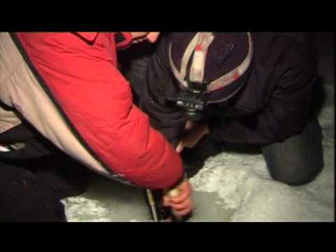 Видео: Моя рыбалка: Архив редактора 1