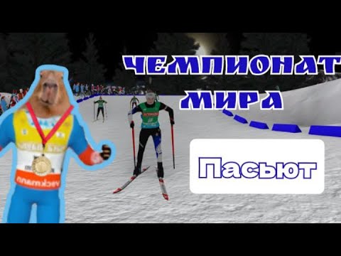 Видео: Биатлон. Чемпионат Мира. Женский пасьют. NGL Biathlon