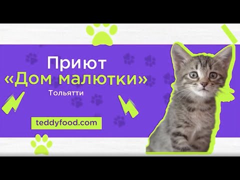 Видео: "Дом малютки" в Тольятти: будни приютов с TEDDY FOOD