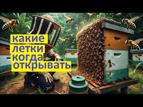 Видео: #Пчёлы. Как защитить пчёл от ос осенью: настройка верхнего и нижнего летков улья.