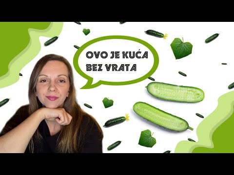 Видео: Сербский язык. Врата/кола/уста/леђа.