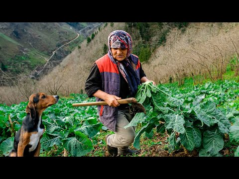 Видео: Счастливая семья в деревне | Документальный