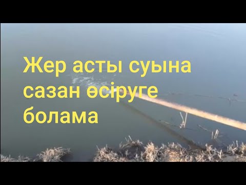 Видео: Жерасты суымен балық өсіру