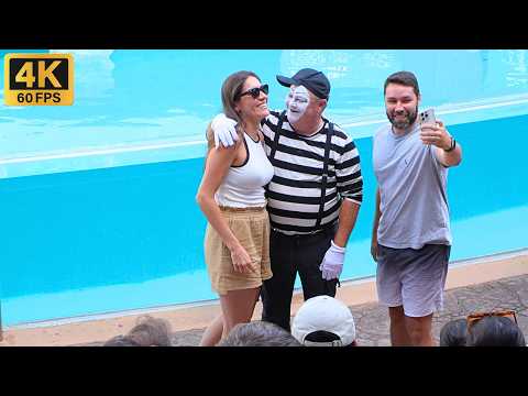 Видео: Том, знаменитый мим из SeaWorld Orlando 😎🎭 #tomthemime #seaworldmime #seaworldorlando