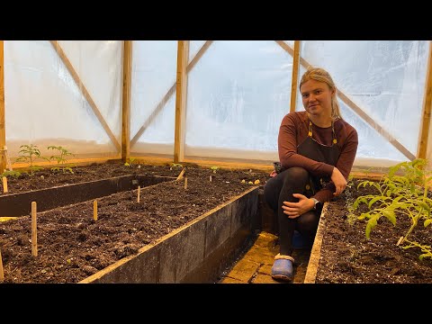 Видео: Зимняя теплица на Урале / Подготовка грядок и освещения