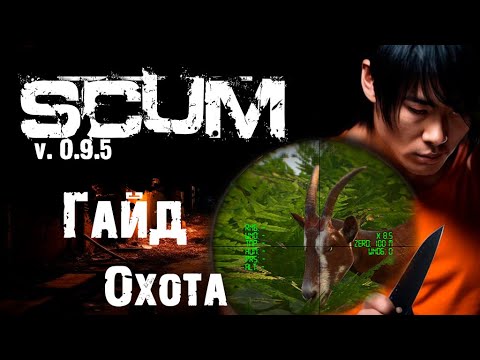 Видео: SCUM / v.0.9.51 / Гайд по охоте