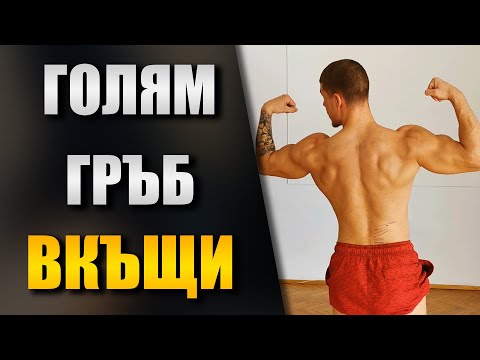 Видео: 6 упражнения за ГРЪБ вкъщи - БЕЗ набирания и тежести в домашни условия
