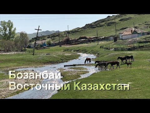 Видео: Бозанбай (Никитинка) 2019. Восточный Казахстан