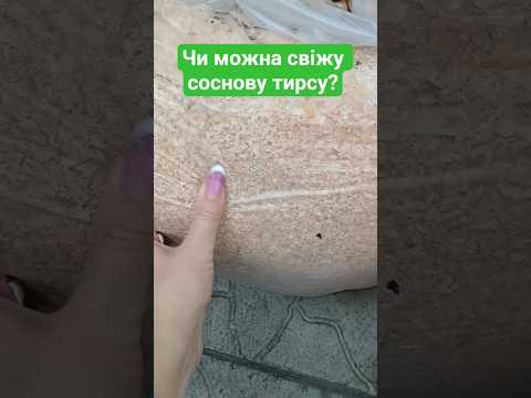 Видео: Поділіться досвідом, будь ласка!?