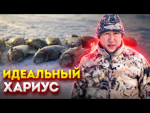 Видео: Идеальный хариус.