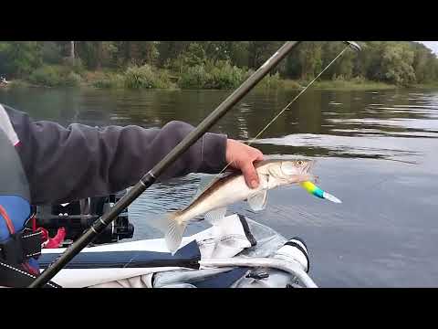 Видео: Мы на р Каме. Осваивается.