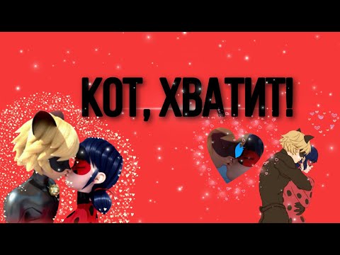 Видео: Переписка "Кот, хватит!" 3 часть, конец