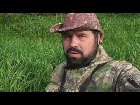 Видео: рыбалка Мста начало июня спиннинг часть 1