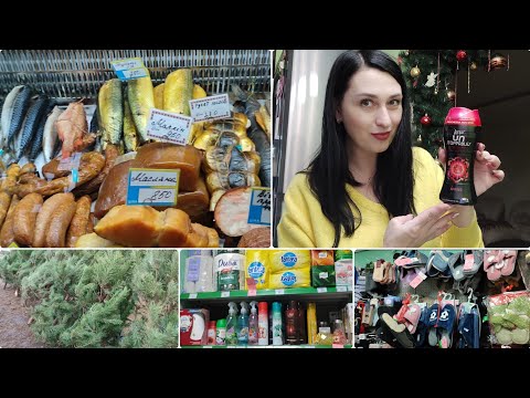 Видео: ЕДУ за РЫБОЙ 🍣 Закупка перед Новым годом 🎄