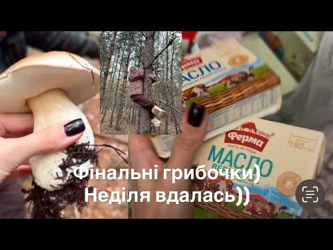 Видео: Останні гриби в цьому році🍄‍🟫 канікули закінчились, завтра в школу!