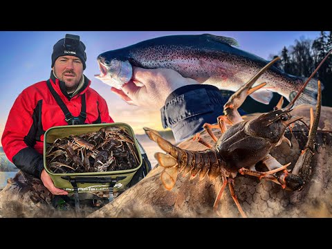 Видео: ЗАГАДОЧНОЕ ЛЕСНОЕ ОЗЕРО, ОТКУДА СТОЛЬКО РАКОВ И ФОРЕЛИ , ТАКОГО РЕЗУЛЬТАТА НИКТО НЕ ОЖИДАЛ!!