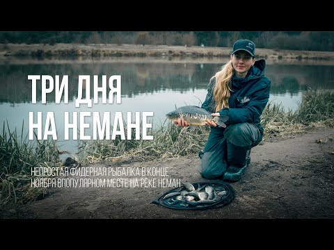 Видео: Фидер на Немане в ноябре. Когда всё идёт не по плану...