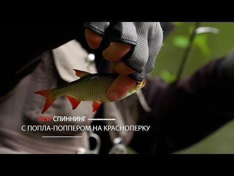 Видео: С попла-поппером на красноперку [NEW Спиннинг №33]