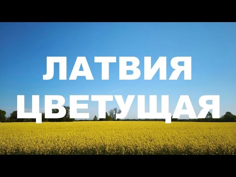 Видео: Фруктово-сиреневый сад в Добеле