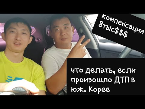 Видео: ДТП в Корее. Как выплачивается страховка.Что делать после.